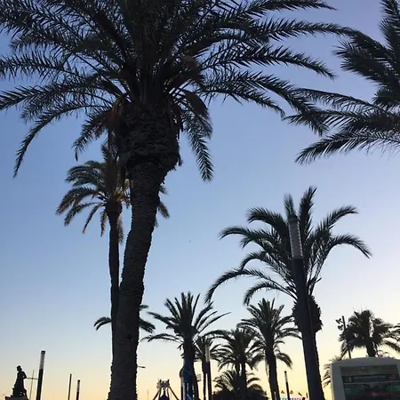 Seaside Los Naufragos 아파트 또레비에하